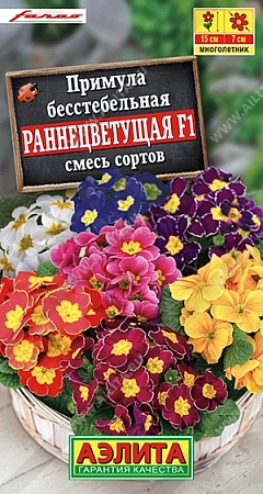 Примула Раннецветущая F1, смесь окрасок 7 шт