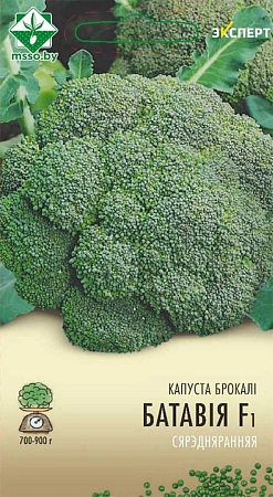 Капуста брокколи Батавия F1, 12 шт (МССО) Капуста брокколи Батавия F1, 12 шт (МССО)