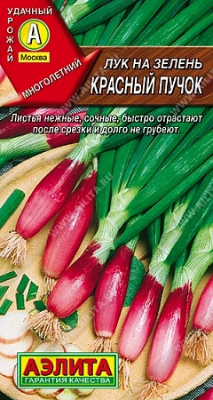 Лук на зелень Красный пучок 0,3 г (АЭЛИТА)