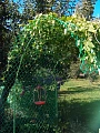 Сетка для винограда 95*90 мм Сетка для винограда 95*90 мм
