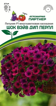 Петуния Шок Вэйв Дип Перпл F1, 5 шт (Партнер)