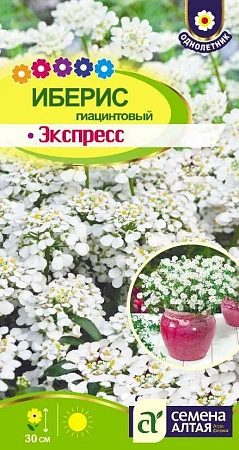 Иберис гиацинтовый Экспресс 0,1 г Иберис гиацинтовый Экспресс 0,1 г