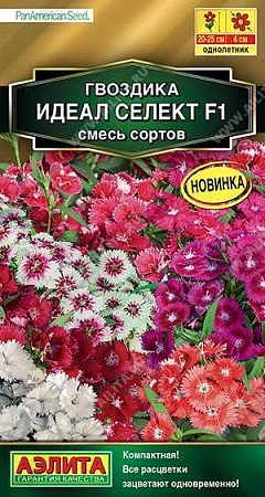 Гвоздика Идеал селект F1 гибридная, смесь 7 шт (АЭЛИТА) Гвоздика Идеал селект F1 гибридная, смесь 7 шт (АЭЛИТА)