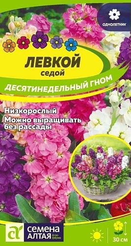 Левкой Десятинедельный гном седой 0,1 г Левкой Десятинедельный гном седой 0,1 г