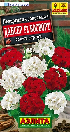Пеларгония Дансер F2 Босворт, смесь окрасок 5 шт (АЭЛИТА) Пеларгония Дансер F2 Босворт, смесь окрасок 5 шт (АЭЛИТА)