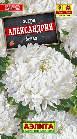 Астра Александрия белая 0,1 г Астра Александрия белая 0,1 г