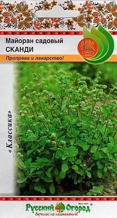 Майоран садовый Сканди, 0,1 г (НК)