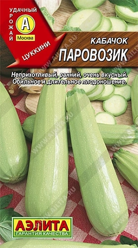 Кабачок цукини Паровозик, 1 г Кабачок цукини Паровозик, 1 г