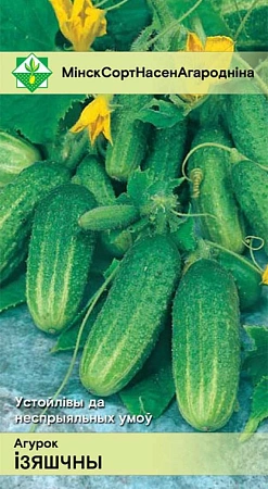 Огурец Изящный, 0,6 г (МССО) Огурец Изящный, 0,6 г (МССО)