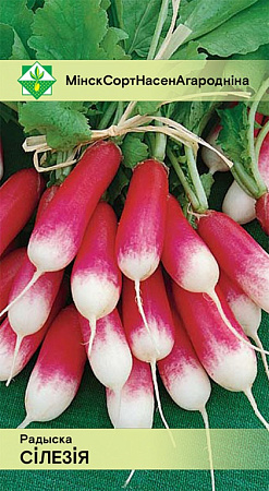 Редис Силезия, 2 г (МССО)