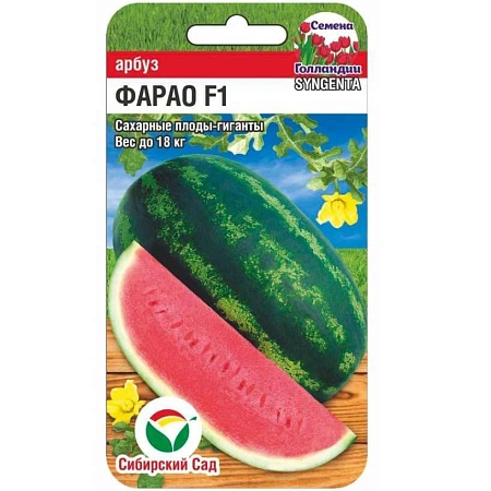 Арбуз Фарао 4 шт (Сиб Сад) Арбуз Фарао 4 шт (Сиб Сад)