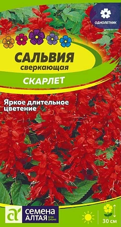 Сальвия Скарлет, 0,1 г Сальвия Скарлет, 0,1 г