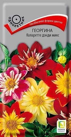 Георгина Коларетте дэнди микс, 0,2 г (Поиск)