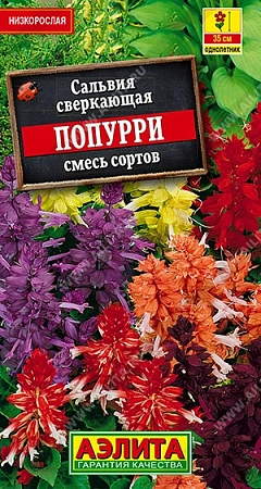 Сальвия Попурри, смесь сортов 0,1 г Сальвия Попурри, смесь сортов 0,1 г