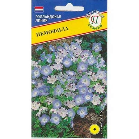 Немофила однолетник, 10 шт (Престиж)