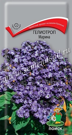 Гелиотроп Марина 0,03 г (Поиск)