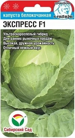 Капуста белокочанная Экспресс F1, 25 шт (Сиб Сад) Капуста белокочанная Экспресс F1, 25 шт (Сиб Сад)