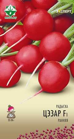 Редис Цезарь F1, 1 г (Эксперт) (МССО)