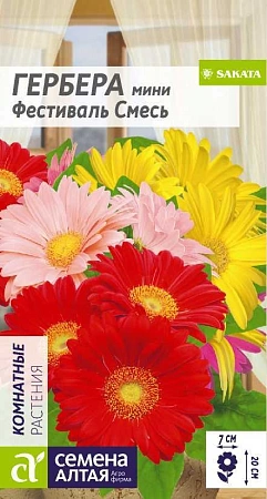 Гербера мини Фестиваль смесь, 3 шт Гербера мини Фестиваль смесь, 3 шт