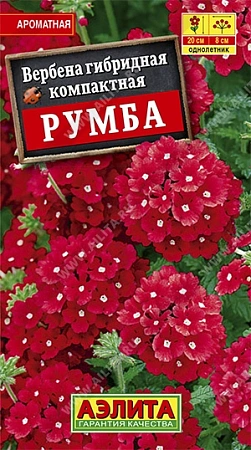 Вербена Румба 0,05 г (АЭЛИТА) Вербена Румба 0,05 г (АЭЛИТА)