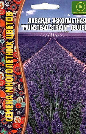 Лаванда узколистная Munstead Strain Blue 30 шт (Ред сем)