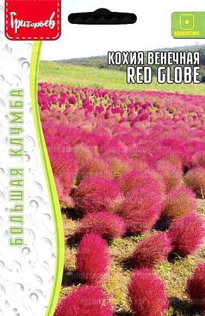 Кохия Red Globe венечная Большая клумба однолетник, 0,1 г (Ред.сем)