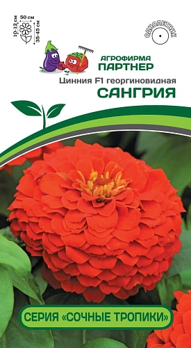 Цинния Сангрия F1 (4 шт), 2-ной пак. (ПАРТНЕР) Цинния Сангрия F1 (4 шт), 2-ной пак. (ПАРТНЕР)