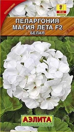 Пеларгония Магия лета F2 белая, 5 шт (Аэлита)