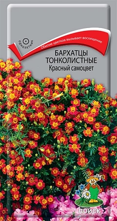 Бархатцы тонколистные Красный самоцвет, 0,1 г (Поиск)