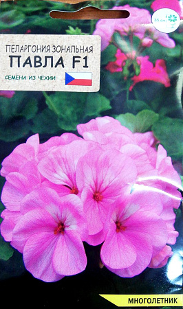 Пеларгония Павла F1, 5 шт (Агромаркет)