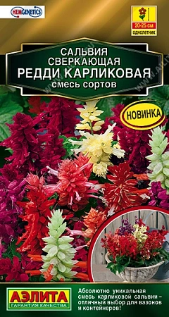 Сальвия Редди карликовая, смесь 7 шт Сальвия Редди карликовая, смесь 7 шт