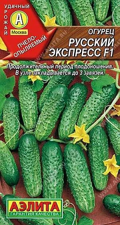 Огурец Русский экспресс F1, 10 шт (АЭЛИТА) Огурец Русский экспресс F1, 10 шт (АЭЛИТА)