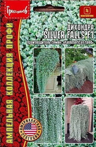 Дихондра Silver Falls F1, 3 шт Дихондра Silver Falls F1, 3 шт