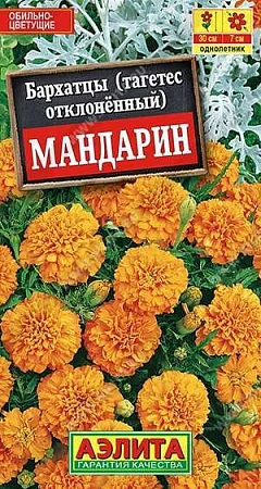 Бархатцы Мандарин отклоненные 0,3 г (АЭЛИТА) Бархатцы Мандарин отклоненные 0,3 г (АЭЛИТА)