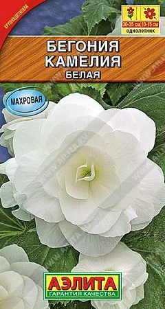 Бегония крупноцветковая Камелия белая, 10 шт