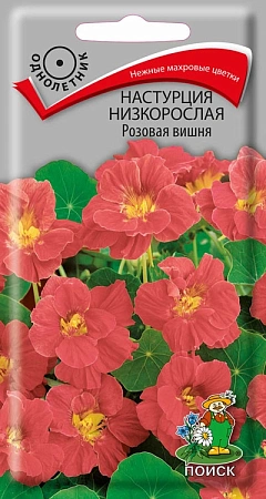 Настурция низкорослая Розовая вишня, 1 г Настурция низкорослая Розовая вишня, 1 г