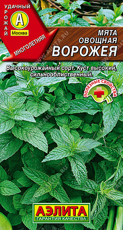 Мята овощная Ворожея, 0,04 г (Аэлита)