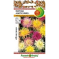 Георгина Кактус Микс однолетник, 0,1 г (НК) Георгина Кактус Микс однолетник, 0,1 г (НК)