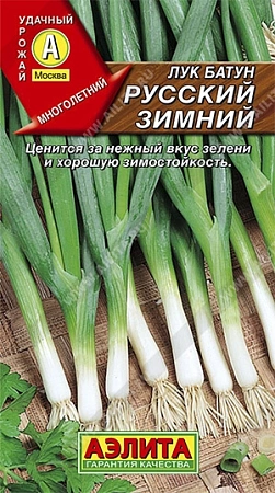 Лук батун Русский зимний, 1 г
