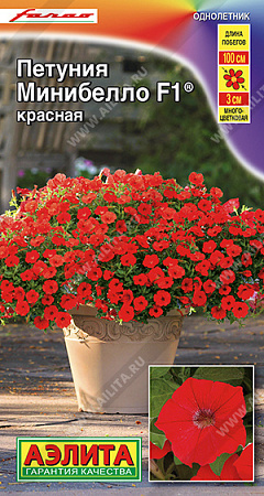 Петуния мини Минибелло F1 красная многоцветковая, 5 шт (Аэлита) Петуния мини Минибелло F1 красная многоцветковая, 5 шт (Аэлита)
