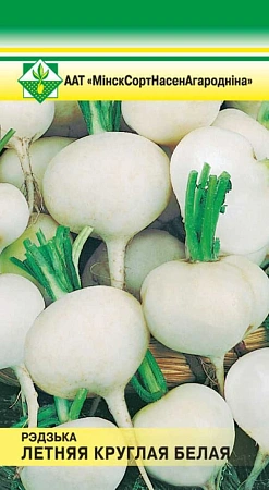 Редька Летняя круглая белая, 2 г (МССО)