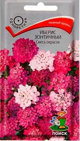 Иберис зонтичный смесь окрасок, 0,5 г (Поиск)