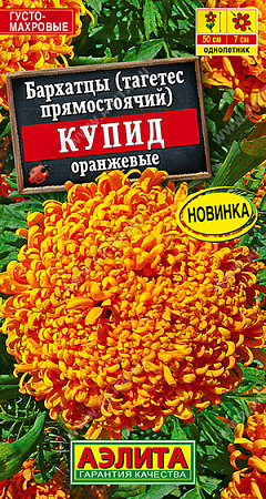 Бархатцы Купид оранжевые хризантемовидные, 0,1 г (Аэлита)