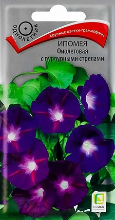 Ипомея Фиолетовая с пурпурными стрелами однолетник, 0,5 г (Поиск)