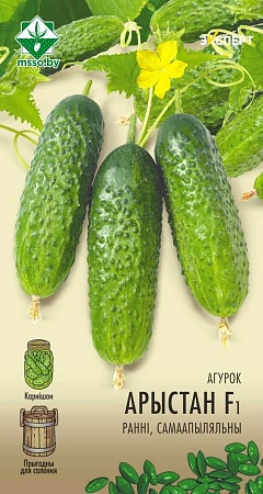 Огурец Аристан F1, 10 шт (МССО) Огурец Аристан F1, 10 шт (МССО)
