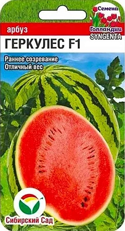 Арбуз Геркулес F1, 3 шт (Сиб Сад)