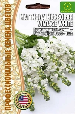 Маттиола Vintage White махровая однолетник, 5 шт (Ред.Сем)