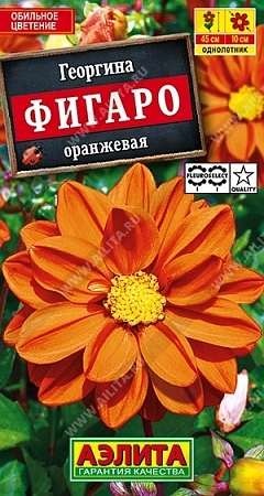 Георгина Фигаро махровая оранжевая, 7 шт (АЭЛИТА)