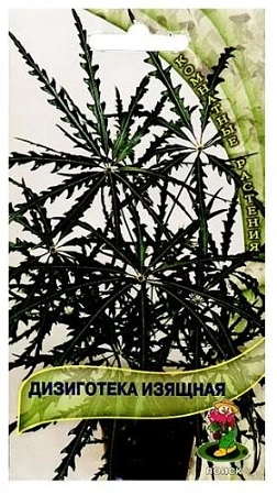 Дизиготека изящная 5 шт (Поиск) Дизиготека изящная 5 шт (Поиск)