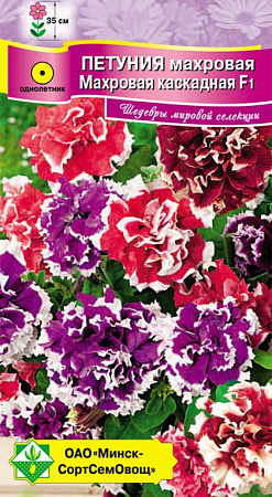 Петуния махровая Махровая каскадная F1, 7 шт (МССО) Петуния махровая Махровая каскадная F1, 7 шт (МССО)